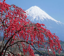 Iran, Tehran, Damavand